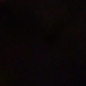 Profile image of Marcus