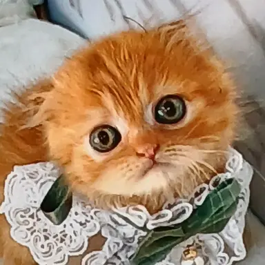 Profile image of 직원