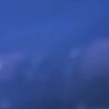 Profile image of 椿の母