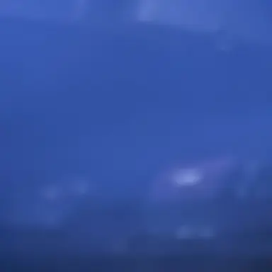 Profile image of 椿の父