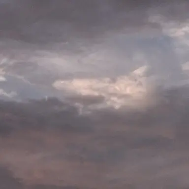 Profile image of 이여우