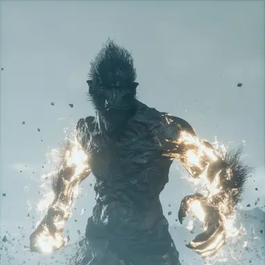 Profile image of Stone Monkey