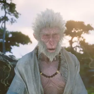 Profile image of Old Monkey