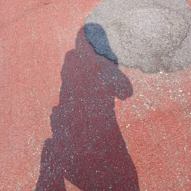 Profile image of 픽셀리와 바닷가