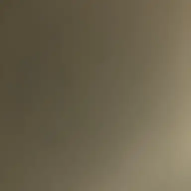 Profile image of 한동민