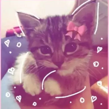 Profile image of Plinkly