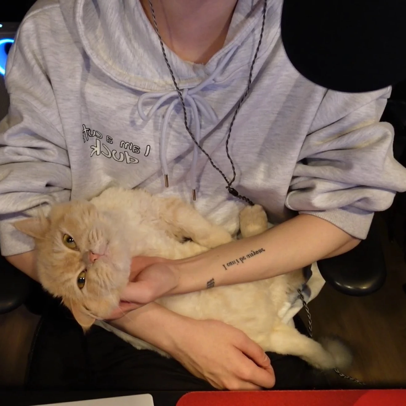 감제이