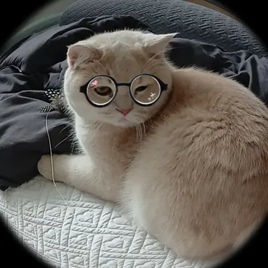 Profile image of 여우