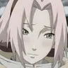Profile image of Sakura