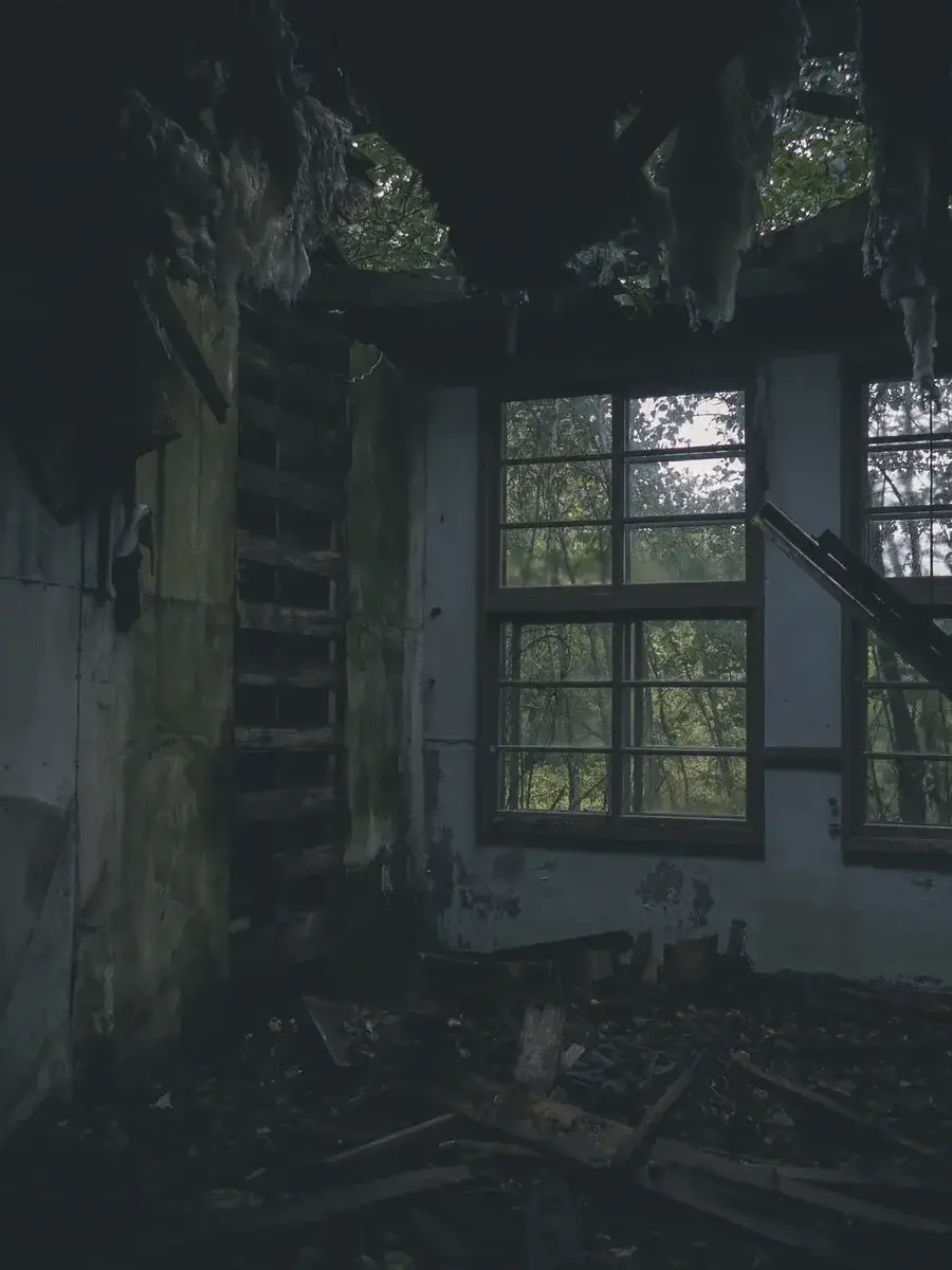 nanigakaitearutoomotta의 ¿