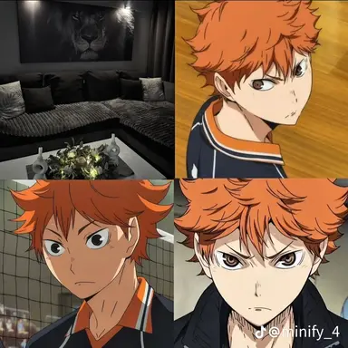 Profile image of Hinata Shoyo