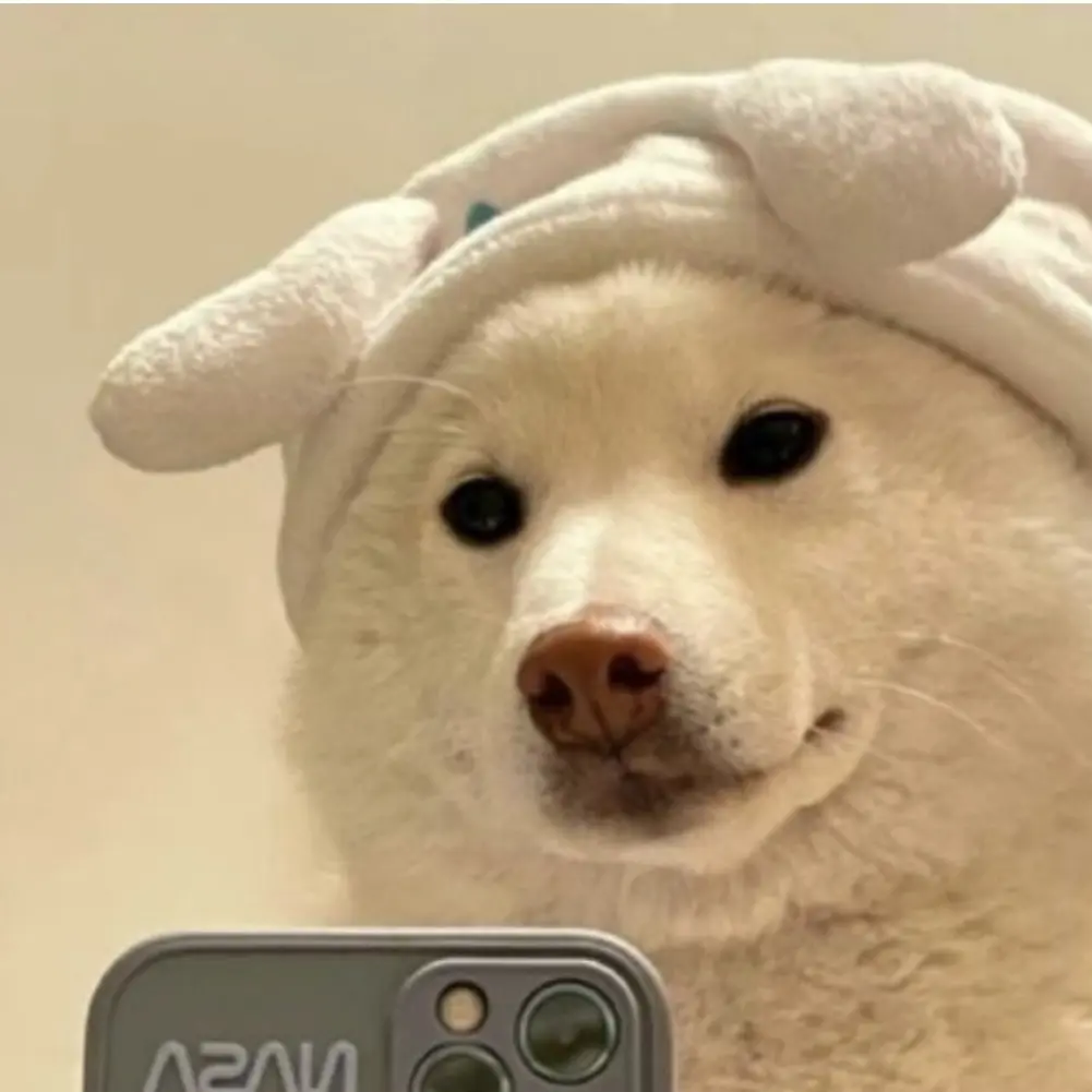 Kkkkkxhsj의 변태남