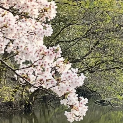 テソン