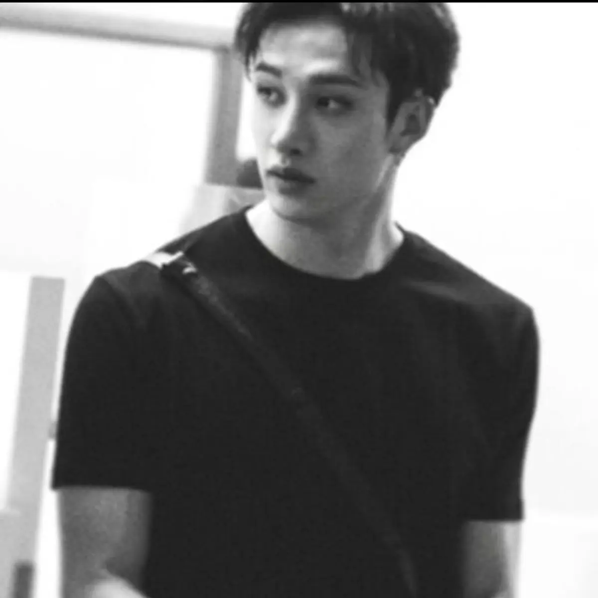 bbeigeterragon252의 bangchan