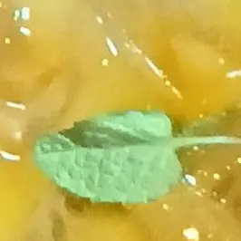 StingyBone5349의 여고 추리반2