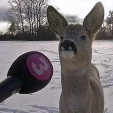 NosyGlue4711의 Docjdiichs