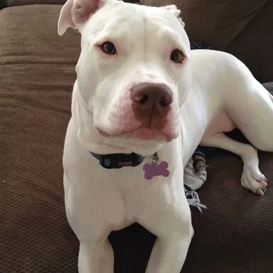 Profile image of Kiki