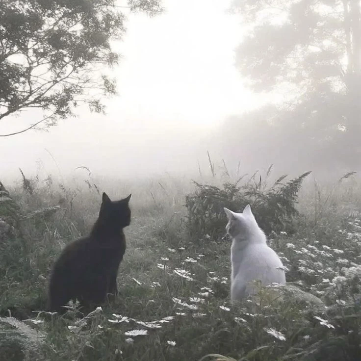 허씬롱