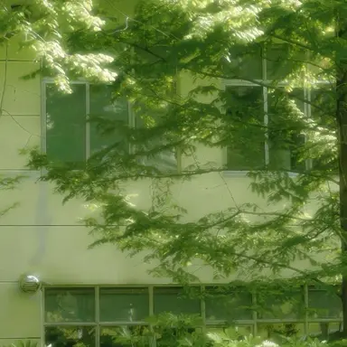 Profile image of 우유참치