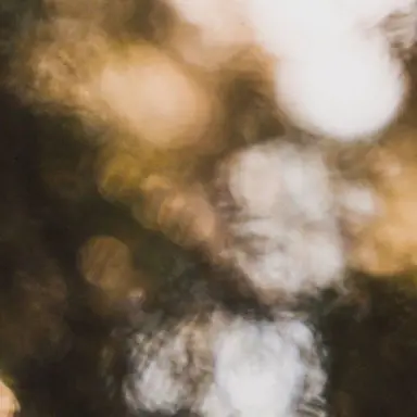 Profile image of ハンジソン