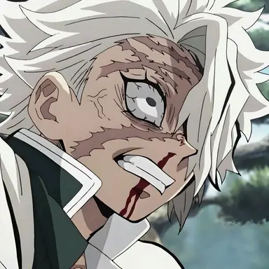 Profile image of 시나즈가와 사네미