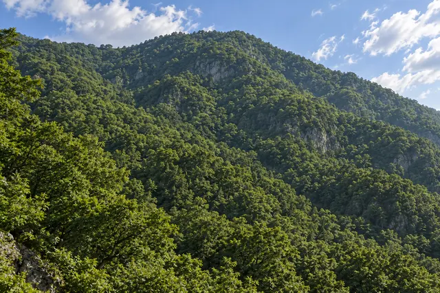 Profile image of Surrounding Terrain