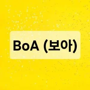 Profile image of 보아