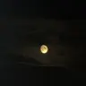Profile image of 직장동료들