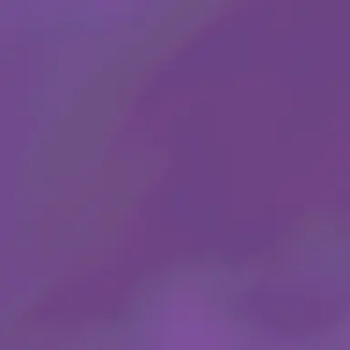 Profile image of 国連