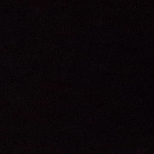 쿠키런수학여행