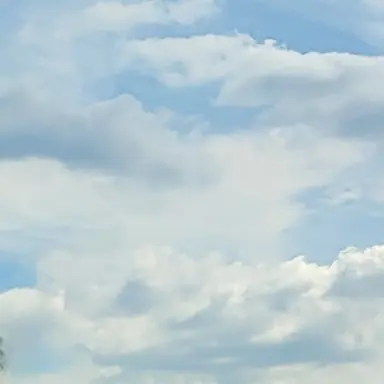 Profile image of 리온