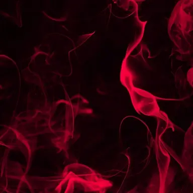 Profile image of 朱雀