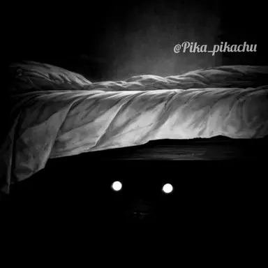 Profile image of 침대 밑 괴물