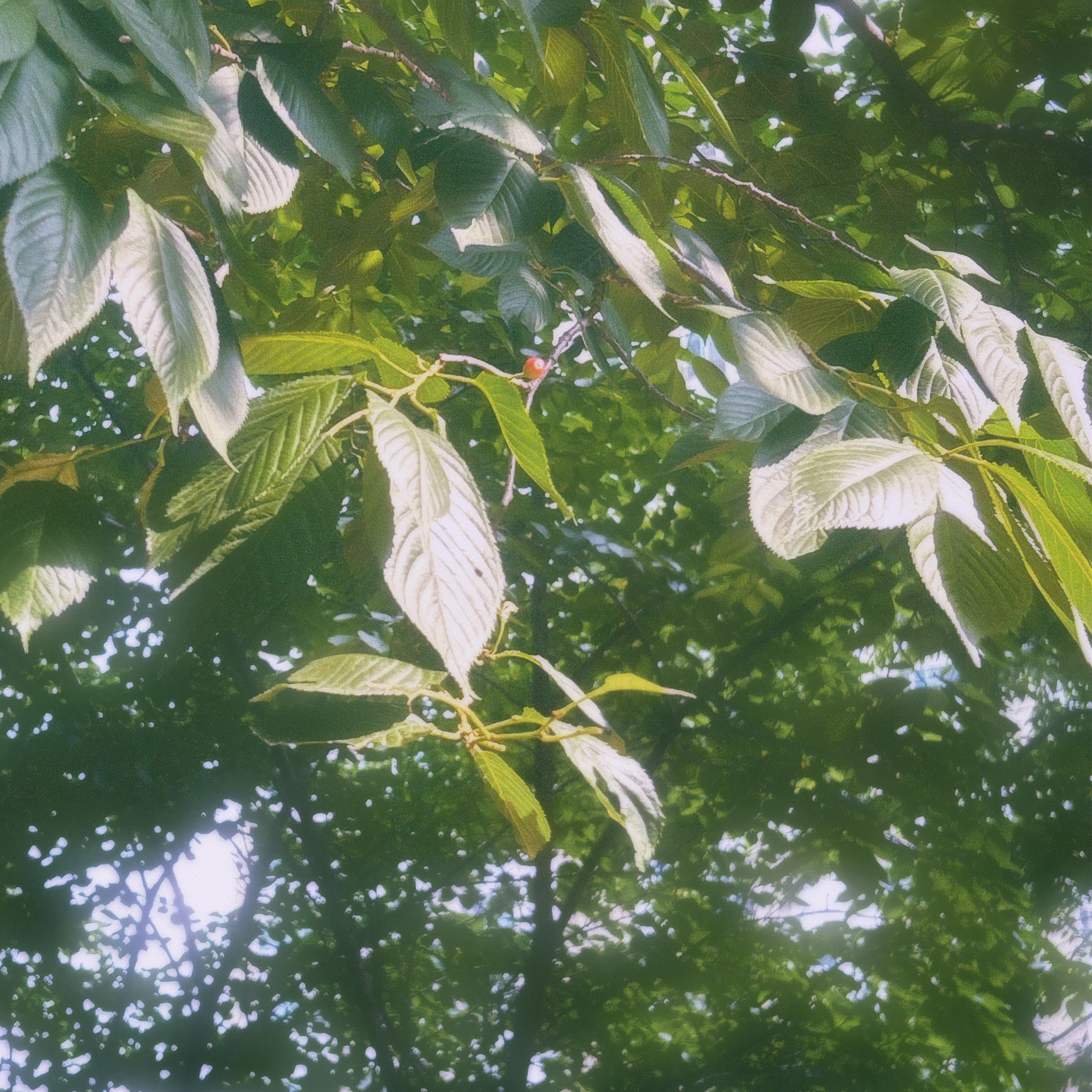 여 산