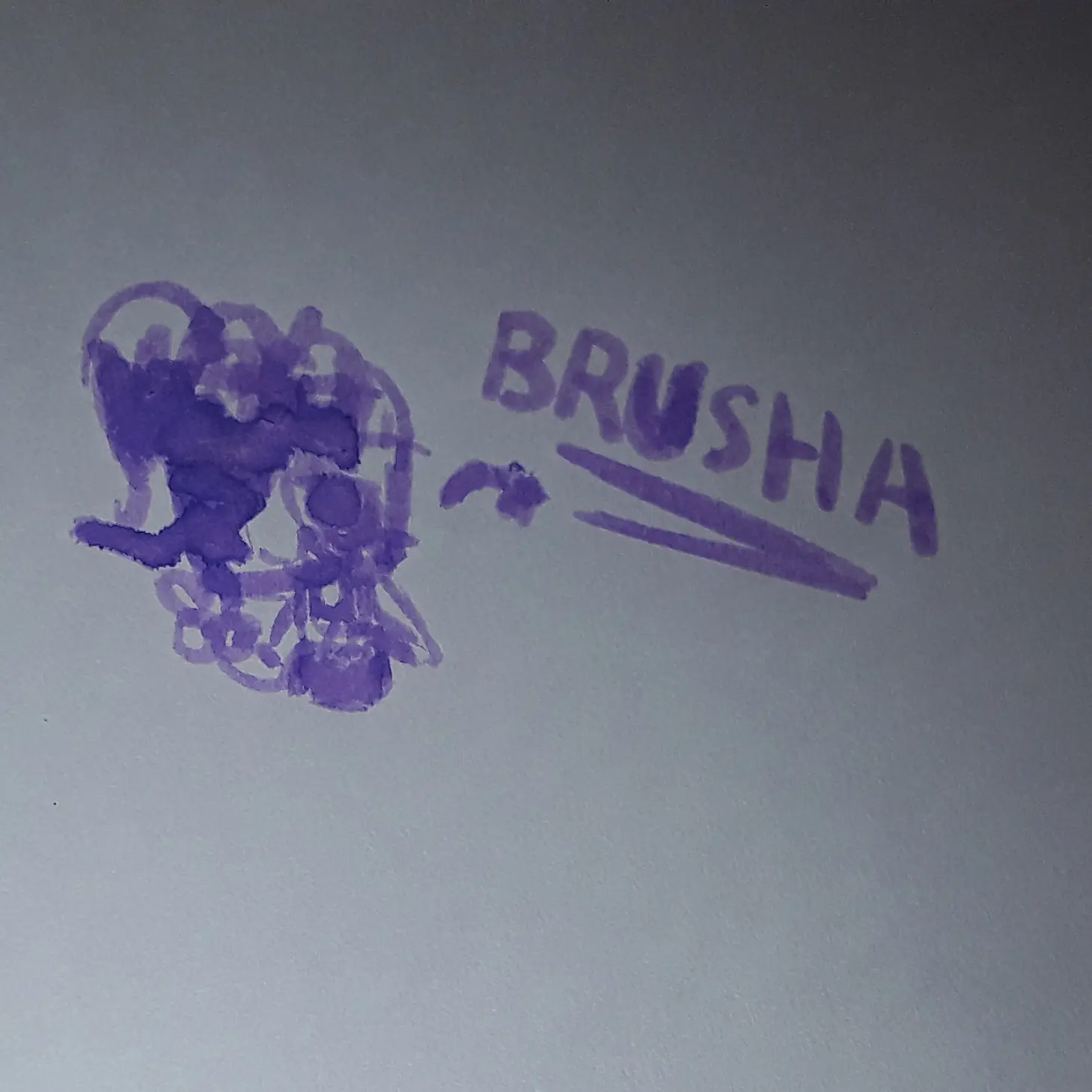 Rey2355jjs의 💜BRUSHA💜