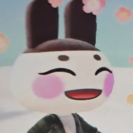 momochii의 토시