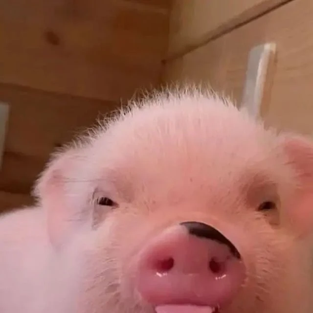 チャンビン