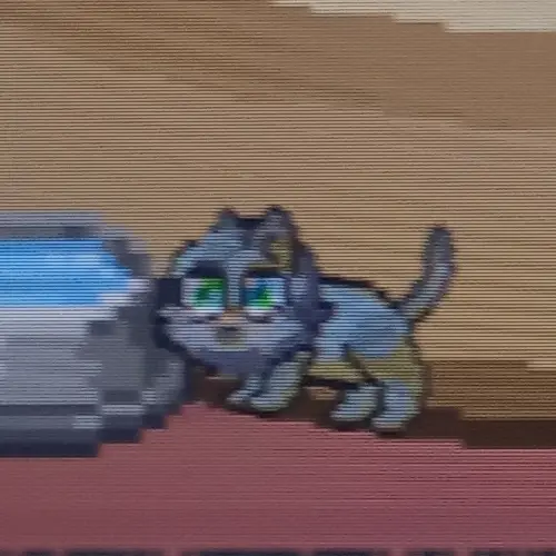 Scarstar의 걍 고양이