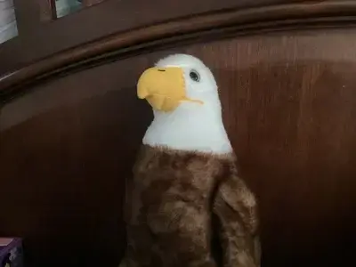 RunnySash2340의 Mr Recycled