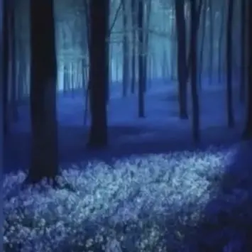 Profile image of 행크