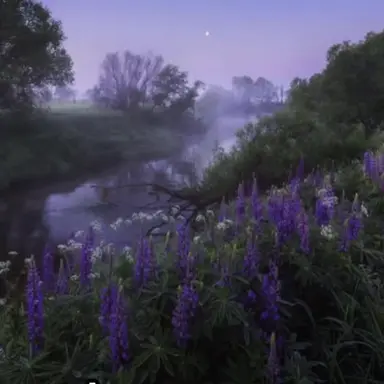 Profile image of 혜비