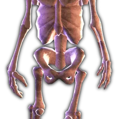 Profile image of Bob