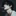 서민혁