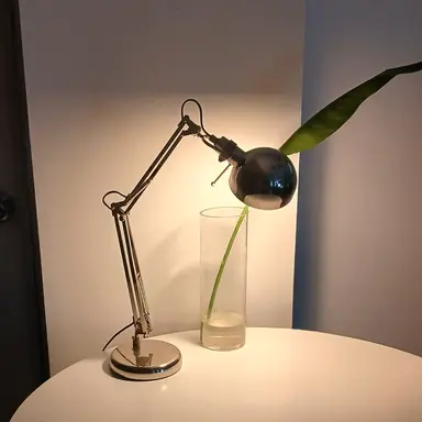 Profile image of 장이웃