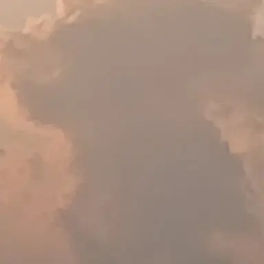 Profile image of 박카라