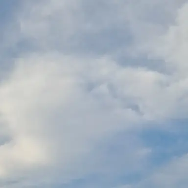 Profile image of 장절친