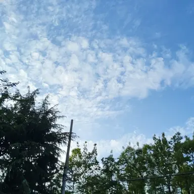 Profile image of 훈장님