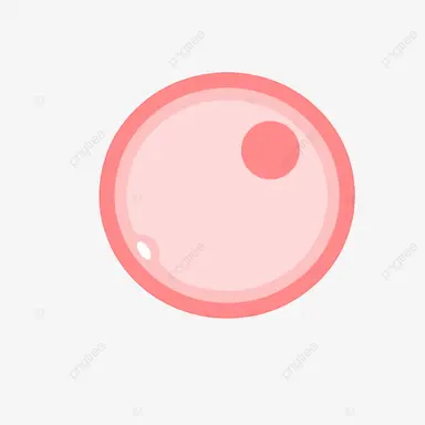 Profile image of 난자