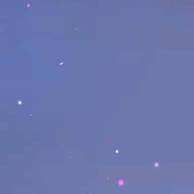 Profile image of 조라