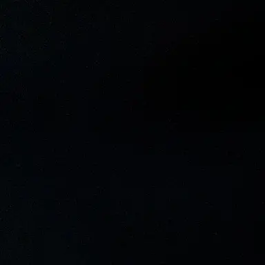 Profile image of 최집사